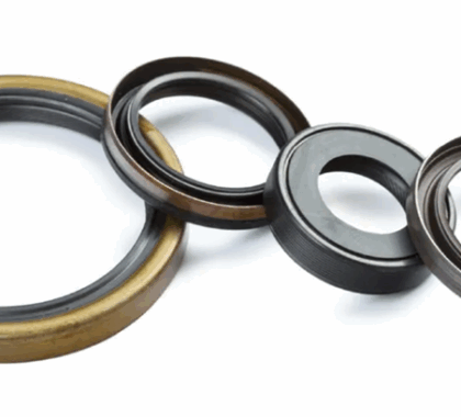 Oil Seal Supplier UAE